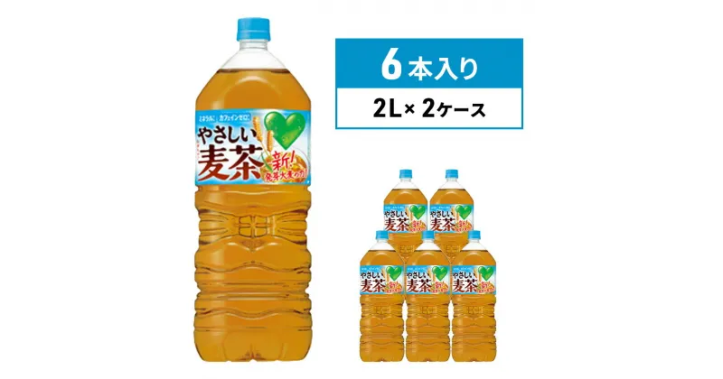 【ふるさと納税】麦茶 GREEN DA・KA・RA やさしい麦茶 2L×6本 2箱 ペットボトル　定期便・綾瀬市