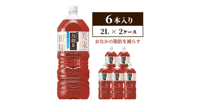 【ふるさと納税】サントリー烏龍茶OTPP（機能性表示食品）2L×6本 2箱 ペットボトル　定期便・綾瀬市