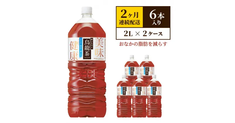 【ふるさと納税】定期便 2ヶ月 サントリー烏龍茶OTPP（機能性表示食品）2L×6本 2箱 ペットボトル　定期便・綾瀬市