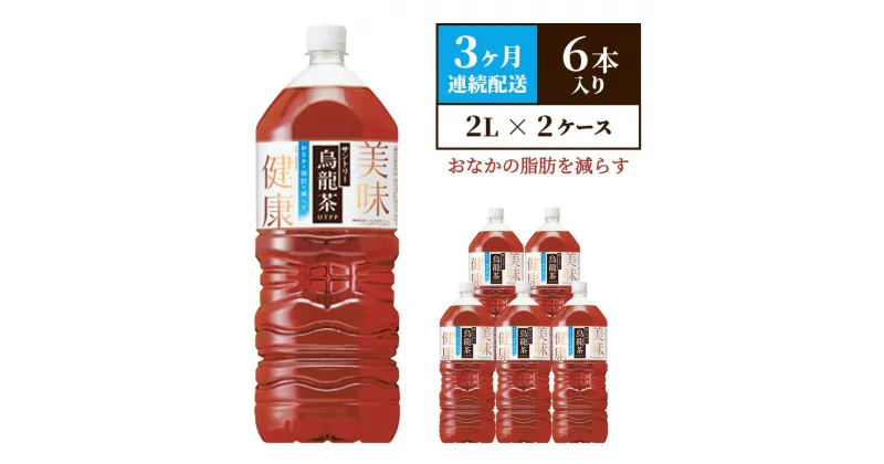 【ふるさと納税】定期便 3ヶ月 サントリー烏龍茶OTPP（機能性表示食品）2L×6本 2箱 ペットボトル　定期便・綾瀬市