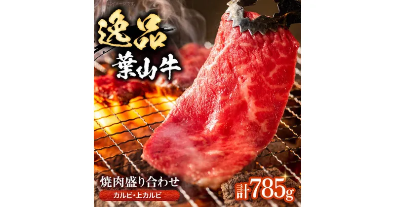 【ふるさと納税】【数量限定】葉山牛焼肉盛り合わせ ／ 牛肉 和牛 やきにく カルビ 神奈川県 特産品【(有)葉山旭屋牛肉店】[ASAP004]