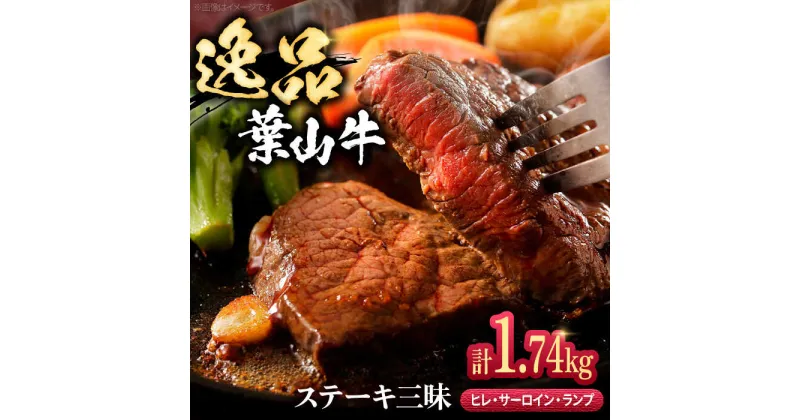 【ふるさと納税】【数量限定】葉山牛ステーキ三昧 ／ 牛肉 和牛 ヒレ サーロイン ランプ 神奈川県 特産品【(有)葉山旭屋牛肉店】[ASAP005]