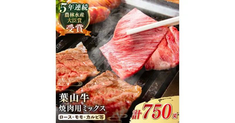 【ふるさと納税】【葉山牛】A5ランク 焼肉用ミックス（ロース、モモ、カルビ等）計750g ／ 国産 A5 牛肉 黒毛和牛 和牛 自家製 神奈川県 特産品 焼肉 ミックス 750グラム 冷凍 送料無料【葉山牛ステーキレストラン 角車】[ASBD002]