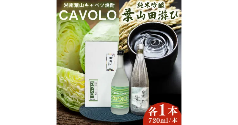 【ふるさと納税】純米吟醸「葉山田游び」＆湘南葉山キャベツ焼酎「CAVOLO」セット ／ お酒 日本酒 神奈川県 特産品【リカーズかさはら】[ASBB002]