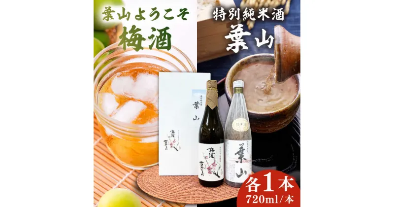 【ふるさと納税】特別純米酒「葉山」＆葉山ようこそ梅酒セット ／ お酒 日本酒 うめ酒 神奈川県 特産品【リカーズかさはら】[ASBB003]