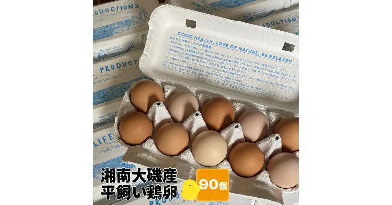 【ふるさと納税】湘南大磯産平飼い鶏卵 90個＜2024年12月1日出荷開始～2025年6月30日出荷終了＞【 たまご 神奈川県 大磯町 】