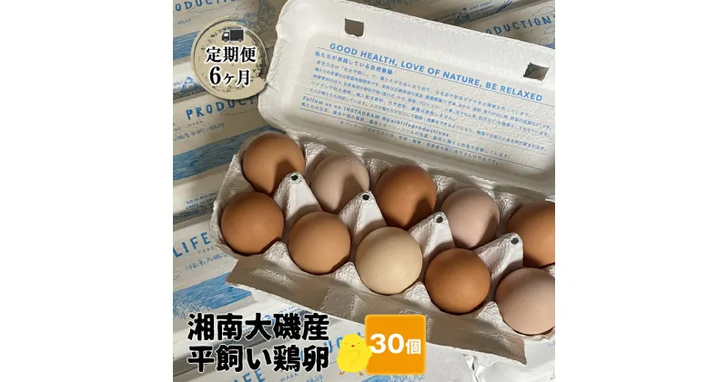 【ふるさと納税】【定期便6ヶ月】 湘南大磯産平飼い鶏卵 30個＜2024年12月1日出荷開始　6ヶ月連続でお届け＞【 たまご 神奈川県 大磯町 】