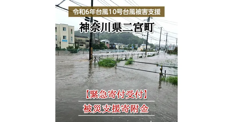 【ふるさと納税】【令和6年台風10号被害支援緊急寄附受付】神奈川県二宮町災害応援寄附金（返礼品はありません）