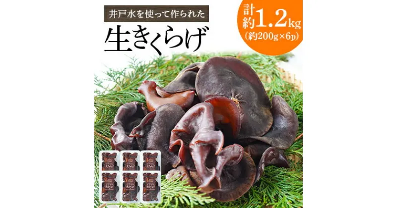 【ふるさと納税】井戸水を使って作られた生きくらげ　約1.2kg(約200g×6p)【配送不可地域：離島】【1139807】