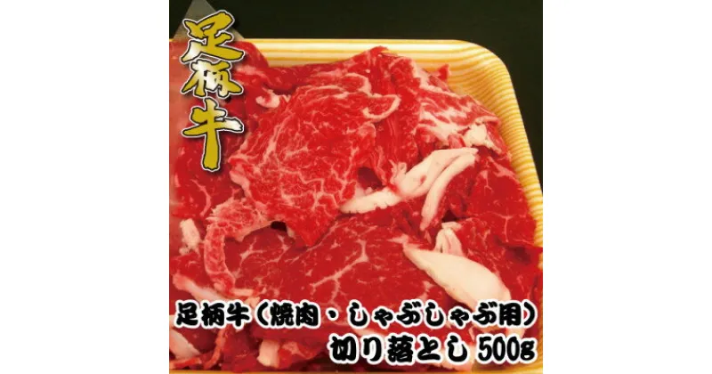 【ふるさと納税】足柄牛【焼肉・しゃぶしゃぶ用】切り落とし500g【配送不可地域：離島】【1507076】