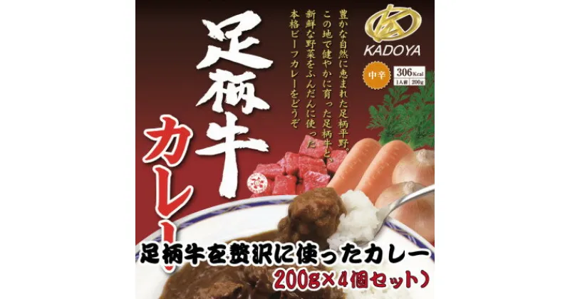 【ふるさと納税】足柄牛を贅沢に使ったカレー200g×4個セット【配送不可地域：離島】【1507100】