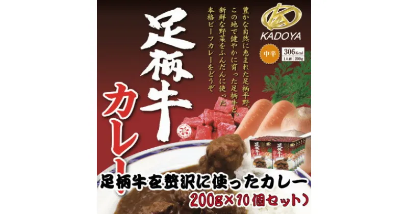 【ふるさと納税】足柄牛を贅沢に使ったカレー200g×10個セット【配送不可地域：離島】【1507107】