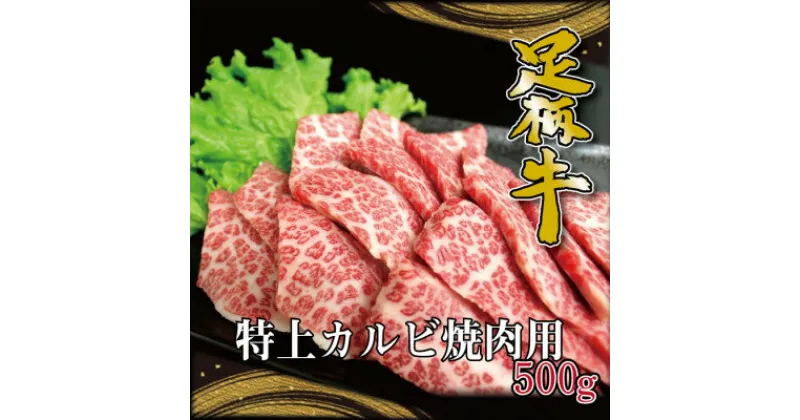 【ふるさと納税】かながわブランド【足柄牛】特上カルビ焼肉用500g【配送不可地域：離島】【1507415】