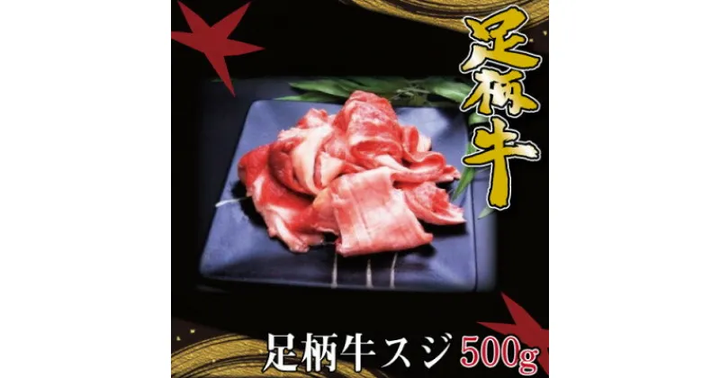 【ふるさと納税】かながわブランド【足柄牛】牛スジ500g【配送不可地域：離島】【1507440】