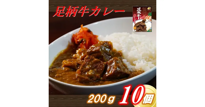 【ふるさと納税】足柄牛を贅沢に使ったカレー200g×10個セット