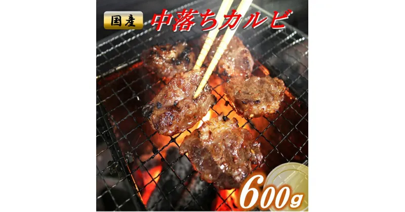 【ふるさと納税】国産牛中落カルビ600g(200g×3パック入)