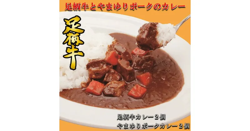 【ふるさと納税】かながわブランド足柄牛とやまゆりポークのカレー4個セット