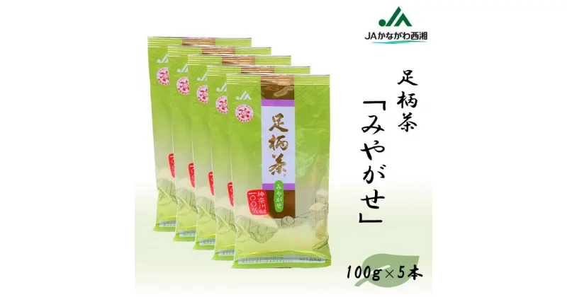 【ふるさと納税】【足柄茶】みやがせ500g（100g×5本）