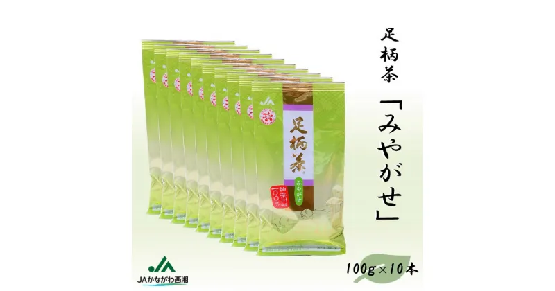 【ふるさと納税】【足柄茶】みやがせ1kg（100g×10本）