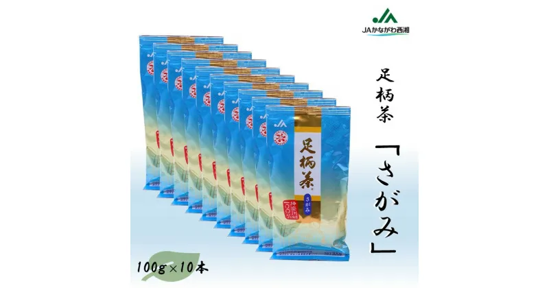 【ふるさと納税】【足柄茶】さがみ1kg（100g×10本）