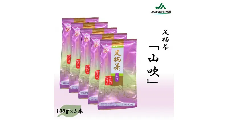 【ふるさと納税】足柄茶【上級】山吹500g（100g×5本）