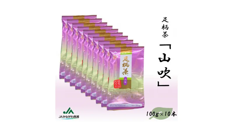 【ふるさと納税】足柄茶【上級】山吹1kg（100g×10本）