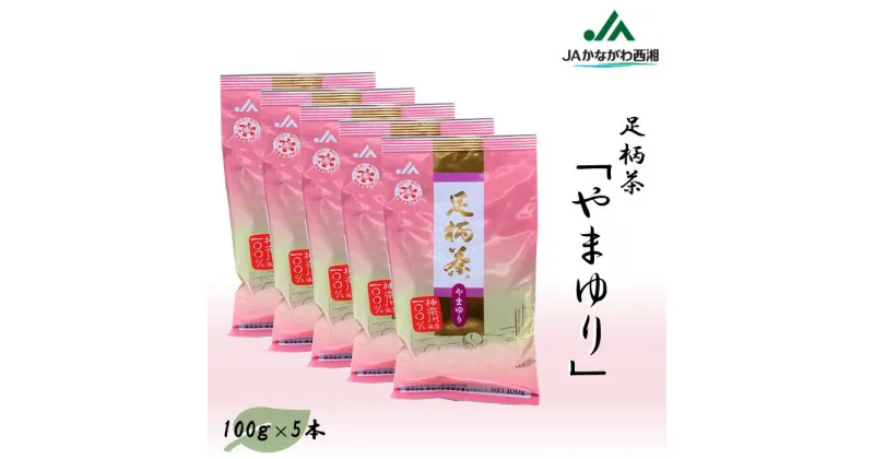 【ふるさと納税】足柄茶【上級】やまゆり500g（100g×5本）