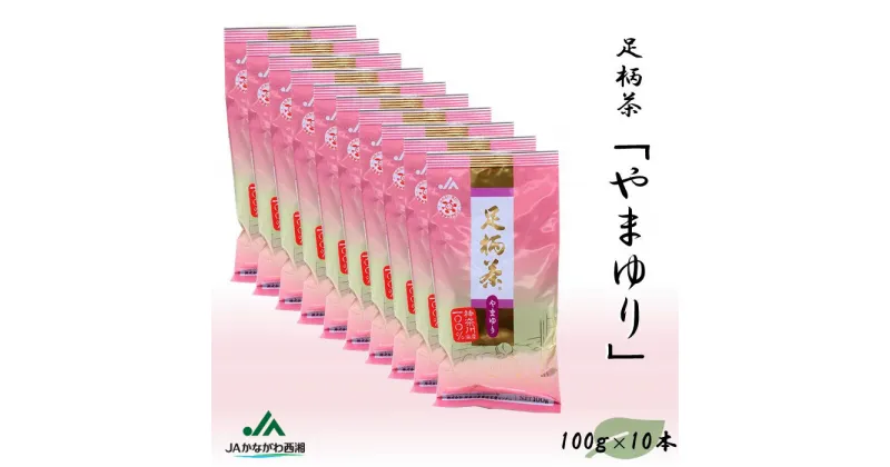 【ふるさと納税】足柄茶【上級】やまゆり1kg（100g×10本）