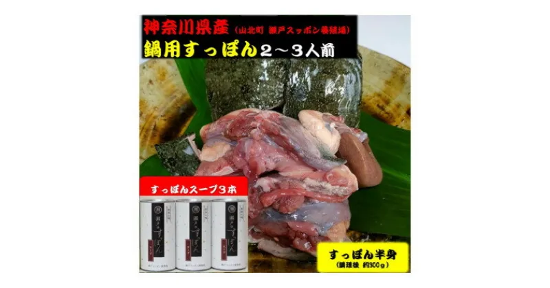 【ふるさと納税】神奈川県産すっぽん鍋(2～3人前)300g&スープ3本(各180g)セット【配送不可地域：離島】【1361073】