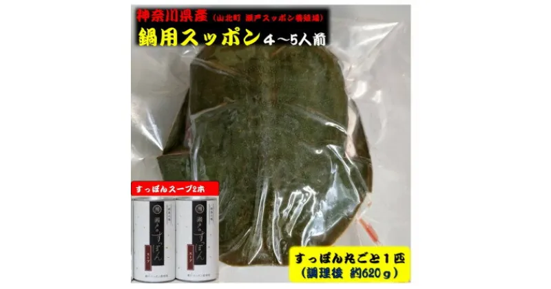 【ふるさと納税】神奈川産すっぽん鍋丸ごと1匹(620g)&スープ2本(各180g)セット【配送不可地域：離島】【1361077】