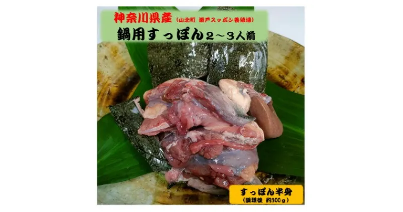 【ふるさと納税】神奈川県産鍋用すっぽん(2～3人前　約300g)【配送不可地域：離島】【1445472】