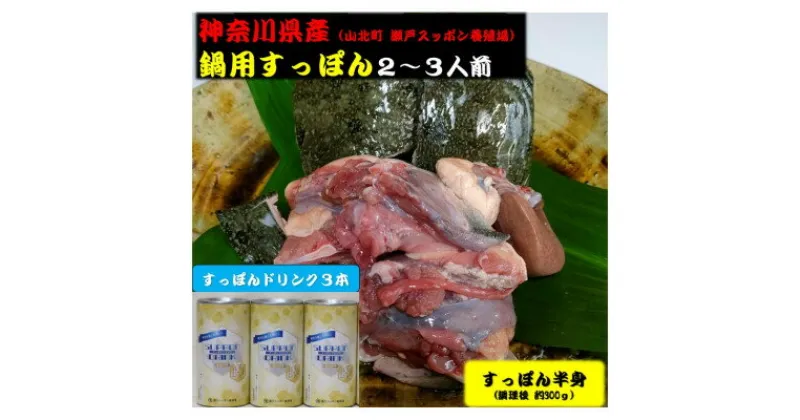 【ふるさと納税】神奈川県産すっぽん鍋(2～3人前)300g&ドリンク3本(各180g)セット【配送不可地域：離島】【1449714】