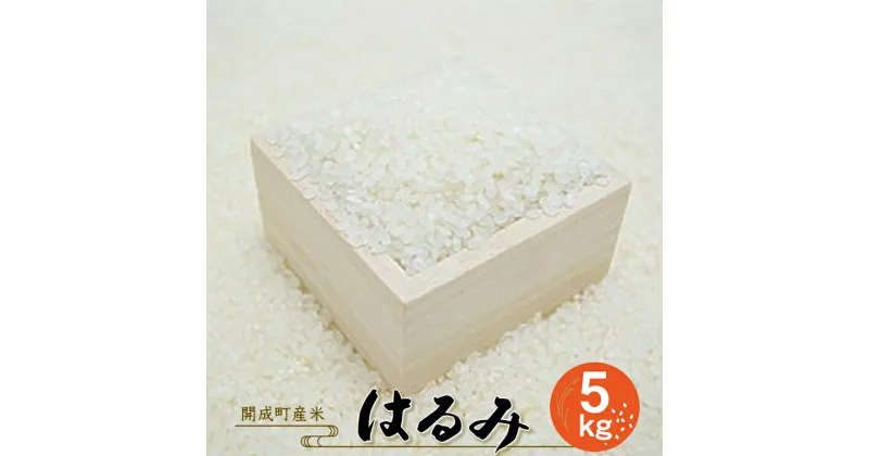 【ふるさと納税】【令和6年産】【開成町産米】 はるみ 5kg＜出荷時期：2024年9月11日～＞【開成町産はるみ 開成町のお米 食味ランキング 特A品種 コシヒカリ キヌヒカリ 交配種 酒匂川の水 名産品 単一原料米 日本穀物検定協会認定 神奈川県 開成町 】