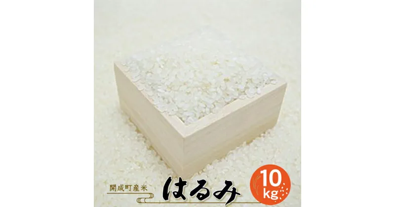 【ふるさと納税】【令和6年産】【開成町産米】 はるみ 10kg＜出荷時期：2024年9月11日～＞【開成町産はるみ 開成町のお米 食味ランキング 特A品種 コシヒカリ キヌヒカリ 交配種 酒匂川の水 名産品 単一原料米 日本穀物検定協会認定 神奈川県 開成町 】