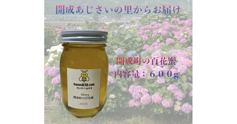 【ふるさと納税】【開成あじさいの里からお届け】開成町の百花ミツ　600g【 神奈川県 開成町 】