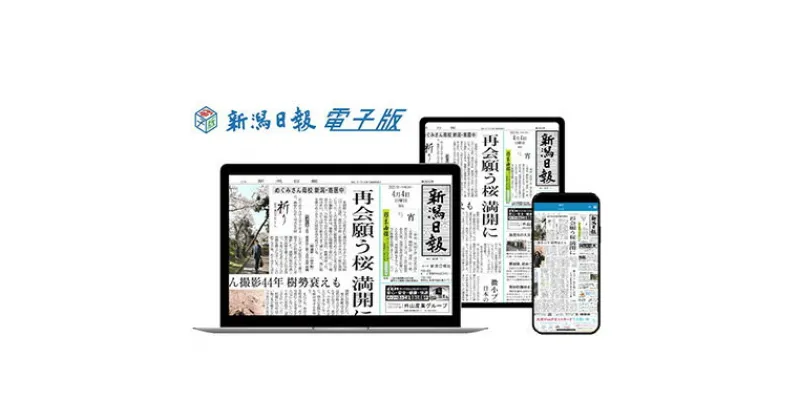 【ふるさと納税】新潟日報電子版　1カ月　雑貨・日用品