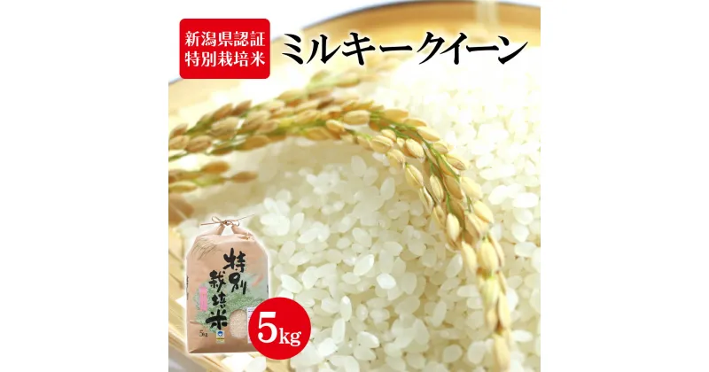 【ふるさと納税】新潟県認証特別栽培米 ミルキークイーン 5kg　 お米 白米 ライス 精米 ご飯 新潟県産 新潟市産 おにぎり お弁当 和食 ブランド米 低アミロース 粘り モチモチ 硬くなりにくい 　お届け：寄附入金確認後、順次発送