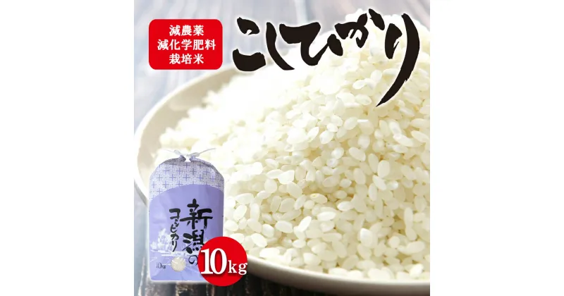 【ふるさと納税】栽培期間中減農薬・減化学肥料栽培米 こしひかり10kg　 お米 白米 ライス 精米 ご飯 新潟県産 新潟市産 おにぎり お弁当 和食 ブランド米 　お届け：寄附入金確認後、順次発送