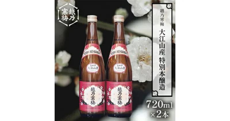 【ふるさと納税】越乃寒梅 大江山産特別本醸造 720ml×2本 限定酒 酒 日本酒 720ml 2本 地酒 本醸造 特別本醸造 五百万石米100％ 淡麗 辛口 冷や 燗 ぬる燗 ギフト 贈り物 プレゼント 自宅用 晩酌 新潟県　 新潟市 　お届け：寄附確認後、随時発送