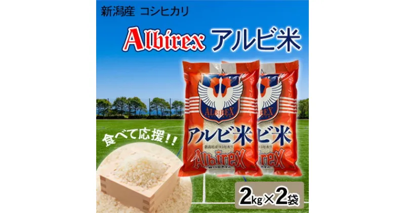 【ふるさと納税】【アルビ米】新潟産コシヒカリ精米2kg×2袋　 お米 白米 ブランド米 銘柄米 ご飯 おにぎり お弁当 和食 主食 国産 炭水化物 直送 産地直送 　お届け：10月中旬より順次発送