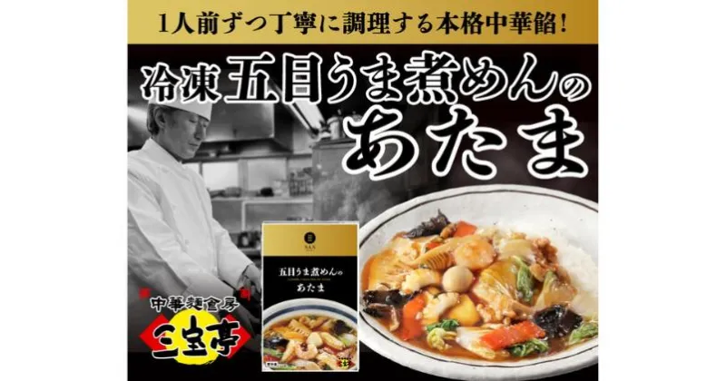 【ふるさと納税】冷凍 五目うま煮めん〈2食〉　 麺類 ラーメン 大人気 たっぷり 具材 コク 旨み 絶品 あんかけ 美味しい 簡単 便利 野菜 栄養