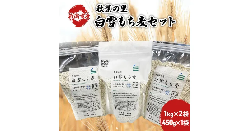 【ふるさと納税】もち麦セット　 雑穀 はねうまもち 食物繊維 国産 日本産 新潟県産 もちもち 麦ごはん