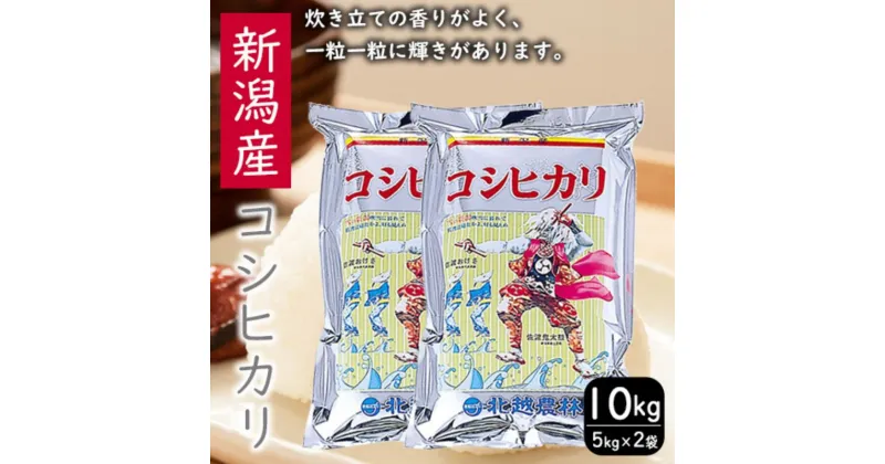 【ふるさと納税】新潟産コシヒカリ10kg コシヒカリ 10kg 米 お米 こめ コメ おこめ 新潟　 新潟市 　お届け：寄附確認後、順次発送