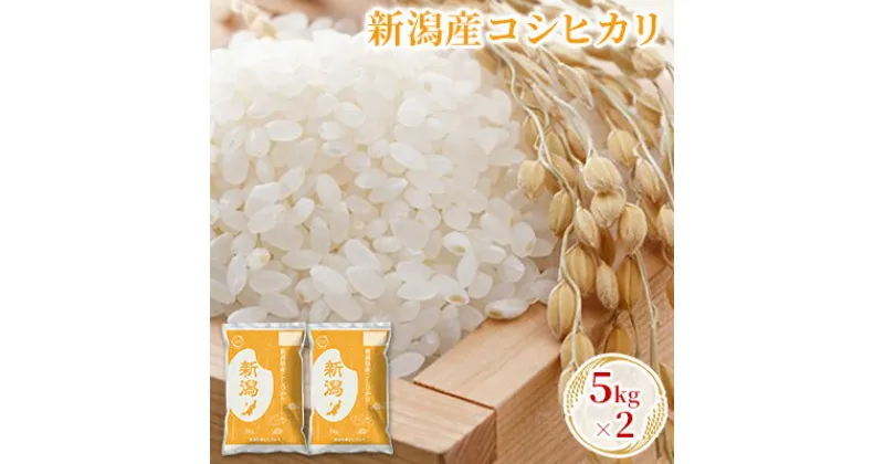 【ふるさと納税】新潟産コシヒカリ 5kg×2　 お米 精米 白米 ご飯 ブランド米 銘柄米 ご飯 おにぎり お弁当 産地直送 　お届け：10月中旬より順次発送