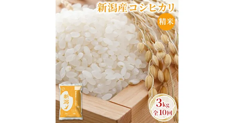 【ふるさと納税】新潟産コシヒカリ精米3kg　全10回　定期便・ お米 精米 白米 ご飯 ブランド米 銘柄米 ご飯 おにぎり お弁当 産地直送 　お届け：寄附入金月の翌月より発送