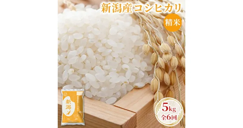 【ふるさと納税】新潟産コシヒカリ精米5kg　全6回　定期便・ お米 精米 白米 ご飯 ブランド米 銘柄米 ご飯 おにぎり お弁当 産地直送 　お届け：寄附入金月の翌月より発送