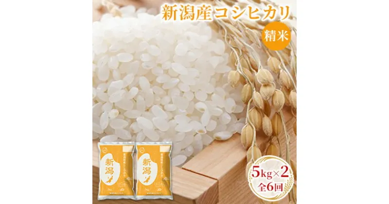 【ふるさと納税】新潟産コシヒカリ精米5kg×2　全6回　定期便・ お米 精米 白米 ご飯 ブランド米 銘柄米 ご飯 おにぎり お弁当 産地直送 　お届け：寄附入金月の翌月より発送