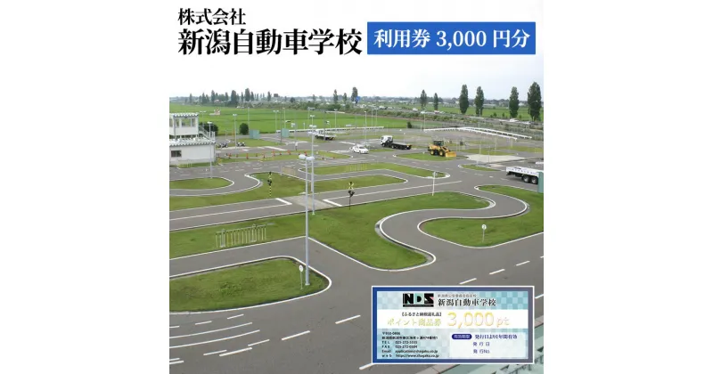 【ふるさと納税】株式会社　新潟自動車学校　利用券3,000 円分　 チケット 体験チケット 免許 普通車 大型車 中型車 準中型車 二輪車 大特車 けん引免許