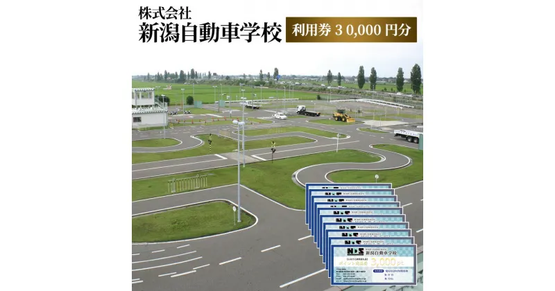 【ふるさと納税】株式会社　新潟自動車学校　利用券30,000 円分　 チケット 体験チケット 免許 普通車 大型車 中型車 準中型車 二輪車 大特車 けん引免許