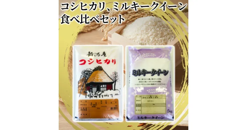 【ふるさと納税】【令和5年産】コシヒカリ精米5kg「従来品種」・ミルキークイーン精米5kg　食べ比べ　 お米 ご飯 食卓 主食 おにぎり お弁当 国産 日本産 ブランド米 　お届け：2024年10月下旬～2025年2月末まで